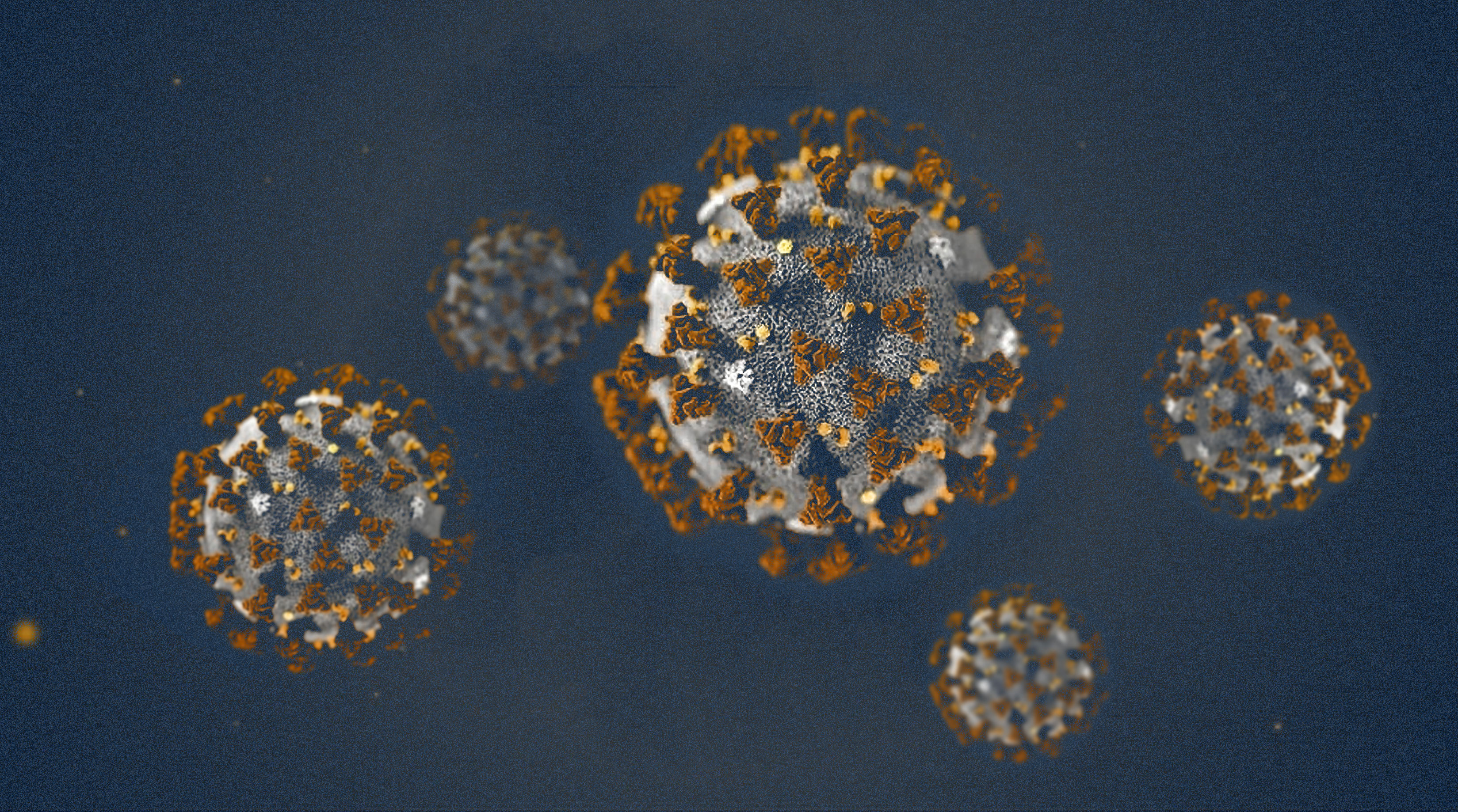 Perguntas e respostas sobre o novo Coronavírus